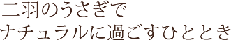 二羽のうさぎでナチュラルに過ごすひととき